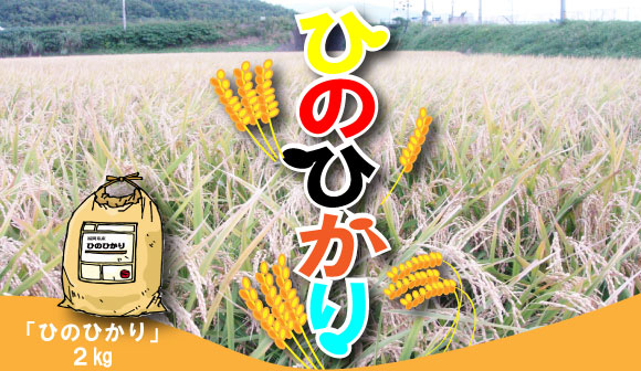 新米「ひのひかり」入荷